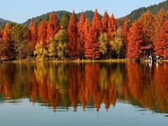 -浙江农林大学(东湖校区)