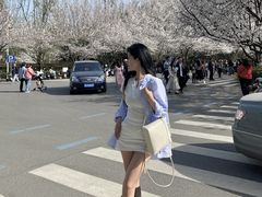 -武汉大学-樱园