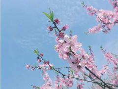 -天台山赤城山景区