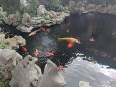 -鲤院·新中式美学·庭院餐厅(夫子庙店)