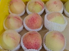 -老袁家蜜桃农场·阳山水蜜桃