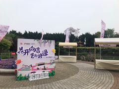 -嘉定紫藤园