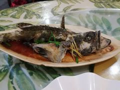 -四姑娘川味海鲜(八爪鱼店)