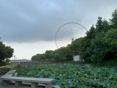 -蠡湖大桥公园