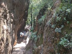 -香炉山国家森林公园