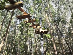 -白草畔自然风景区