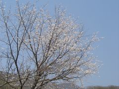 -松花湖风景名胜区
