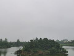 -日照海滨国家森林公园