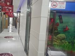 -雅悦齿科(顾村公园店)