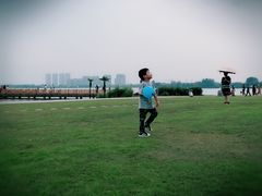 -九里湖国家湿地公园