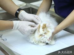 -谐和益家动物医院·免疫绝育·血液透析·宠保定点医院(高新伊藤分院)