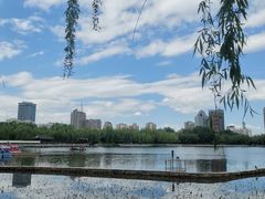 -莲花池公园