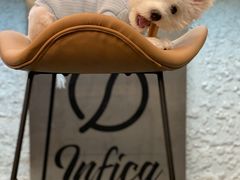 -Infica Coffee