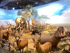 -陕西自然博物馆