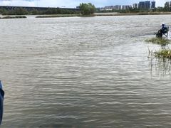 -松咖啡自助餐厅·松北香格里拉