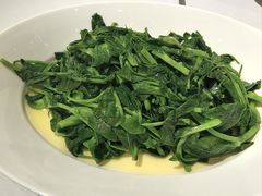 清炒豌豆尖-眉州东坡(清河万象汇店)