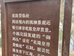 -桃花堤公园