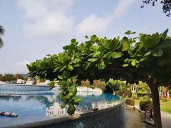 -三亚亚龙湾天域度假酒店