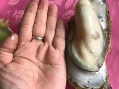 -蠔园山庄(礼乐食街店)