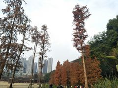 -重庆彩云湖湿地公园