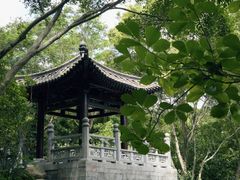 -深圳国际园林花卉博览园