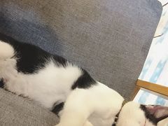 -猫的天空之城概念书店(杭州南宋御街店)