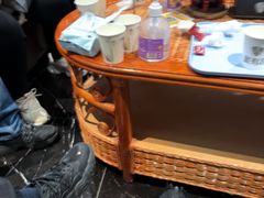 -屋有岛沉浸游戏旗舰店(中山公园店)