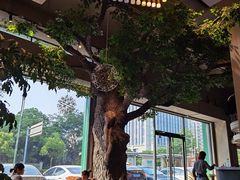 -迪欧咖啡·中西餐融合菜(平江万达旗舰店)