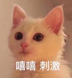 -嗨翻Hi-Fun竞技主题乐园·蹦床团建生日聚会(五棵松华熙店)