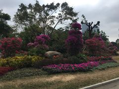 -荔枝公园-小平画像广场
