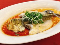 -顺峰(农展馆店)