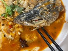 -煲来饱去冷水鱼