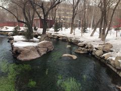 iphone_upload_pic-水磨沟公园