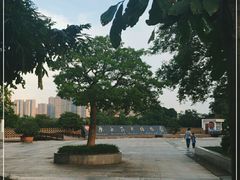 -广西壮族自治区药用植物园