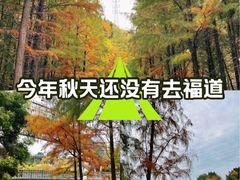 -福道
