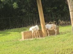 -杭州野生动物世界