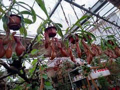 -秦美花卉(天朗·莱茵小城2期店)