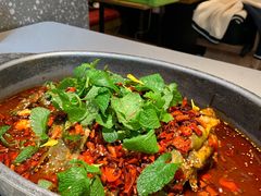 -黔渔翁豆花渎鱼(喷水池店)