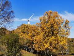 -塞罕坝国家级自然保护区