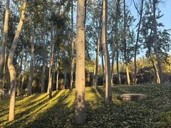 -仁和公园(顺义区)