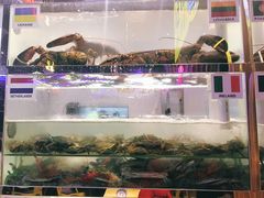 -喜碧海鲜·二十年本土海鲜老字号(上排店)