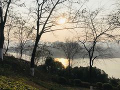 -金海湾滨江公园