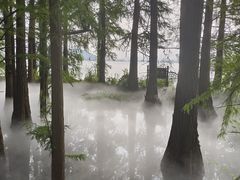 -东湖落雁景区