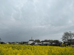 -桤木河湿地公园