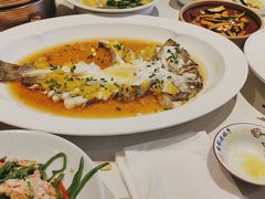 -燕郊烧鸽子(酷车小镇店)