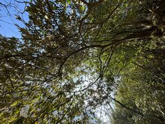 -西岭雪山大飞水景区
