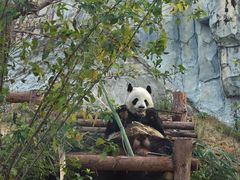 -泉州海丝野生动物世界