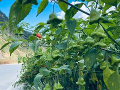 -丽江泸沽湖景区