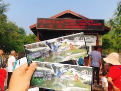 -燕塞湖鸟语林景区