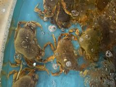 面包蟹-浒顺大酒店(相城店)